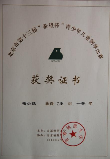 褚小鸥一等奖.jpg