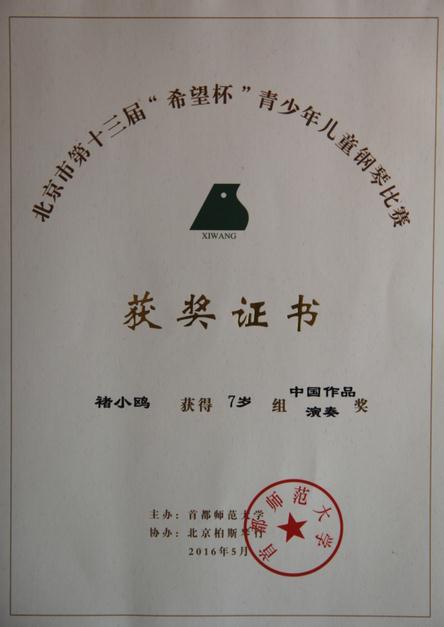 褚小鸥中国作品奖.jpg