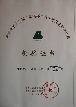 褚小鸥中国作品奖000000000.jpg